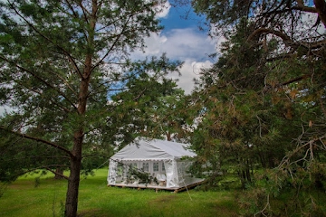 Ресторан Лесная Роса