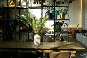 Ресторан Ribambelle Green