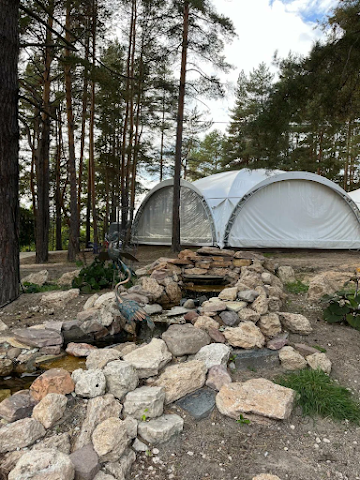 Ресторан Алсма