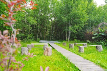 Ресторан SVIYAGA  glamp