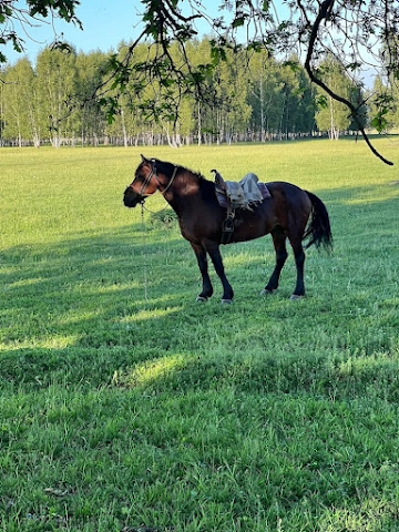 Ресторан Поляна невест