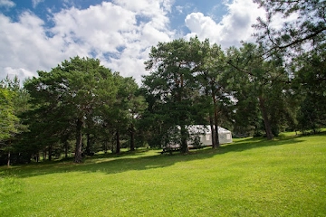 Ресторан Лесная Роса