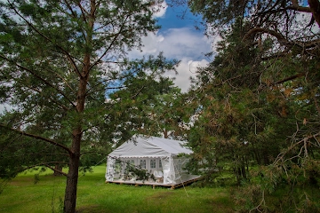 Ресторан Лесная Роса