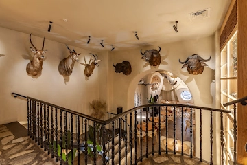 Ресторан Ливингстон