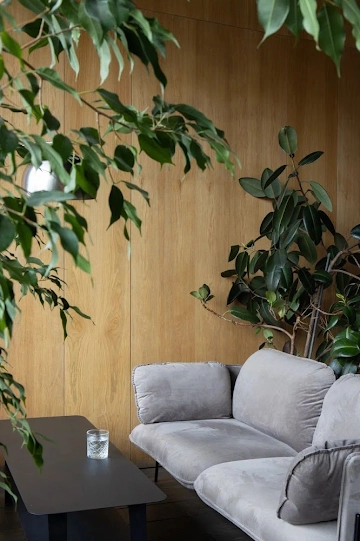 Ресторан STG cafe