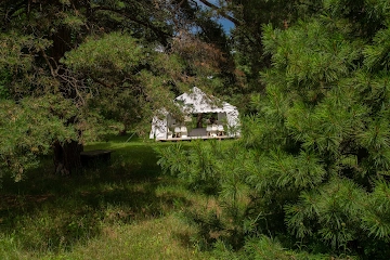 Ресторан Лесная Роса